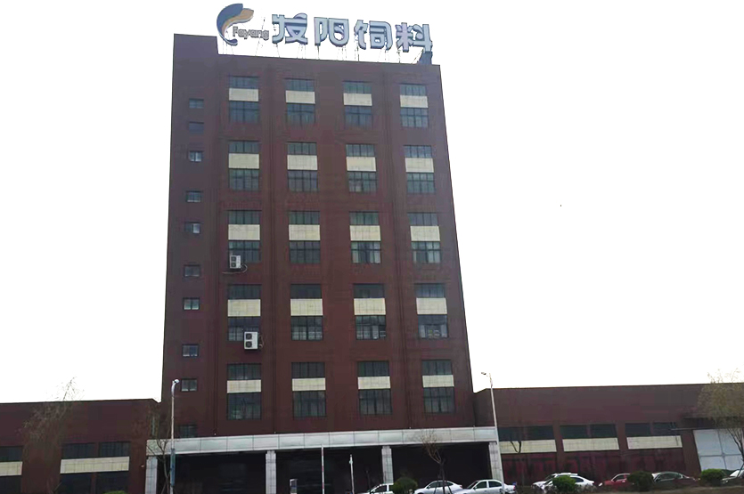 射阳发阳