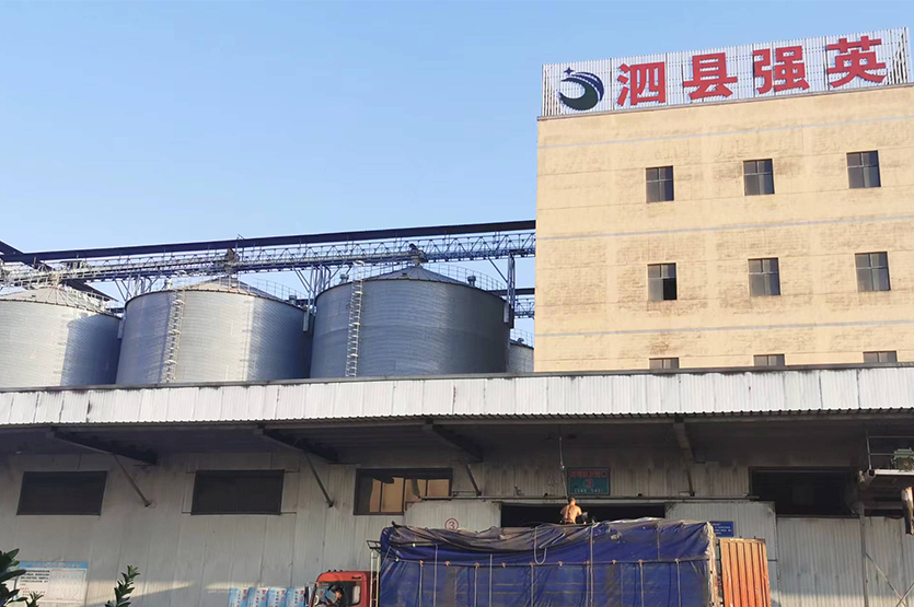泗县强英