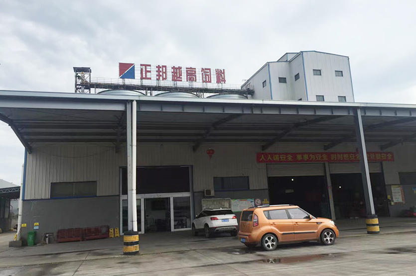 岳阳正邦